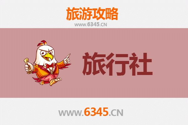 武邑旅行指南：本地优质旅行社推荐与深度游玩攻略