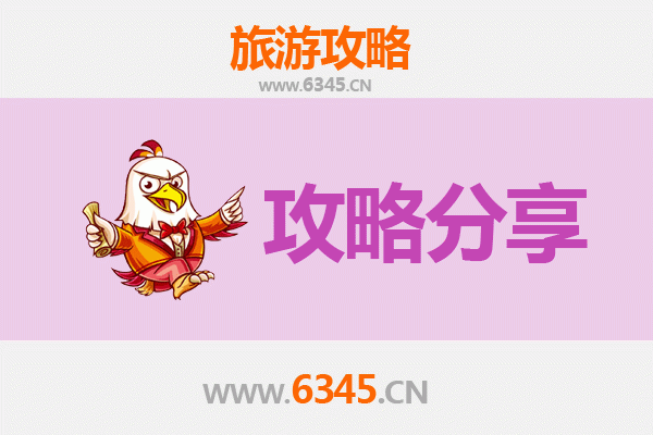 衡水武邑出发湄洲岛旅游攻略：跟团VS自由行全解析